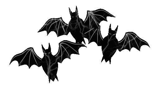Bat