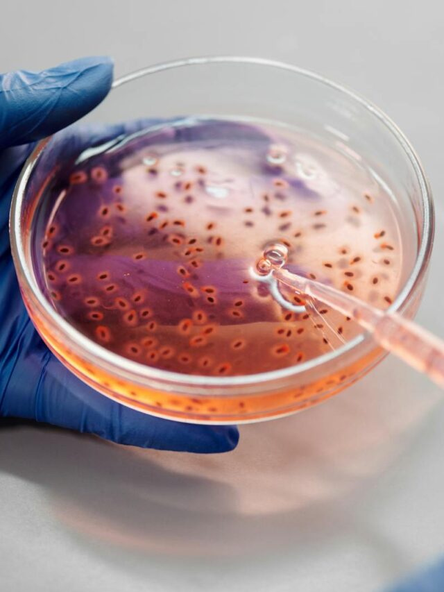 Innovations in Biotechnology: Revolutionizing Healthcare and Beyond