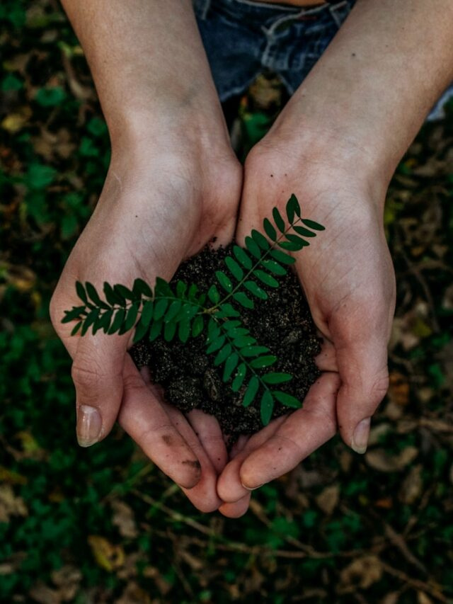 Going Green: Eco-Friendly Innovations for a Sustainable Tomorrow