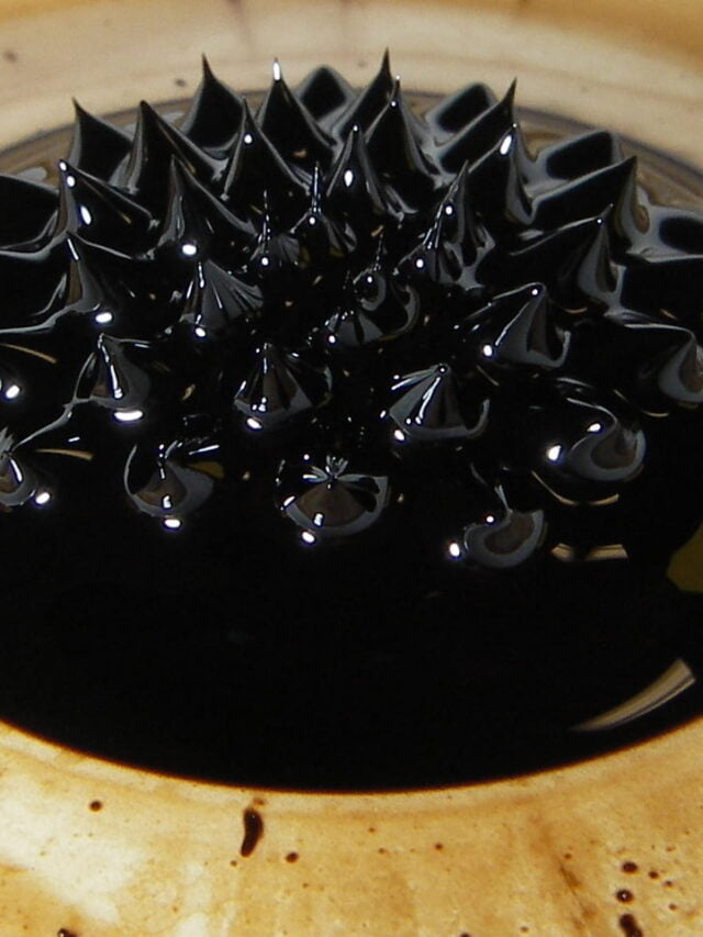 Magnetic Monopoles: The Quest for One-Pole Magnets